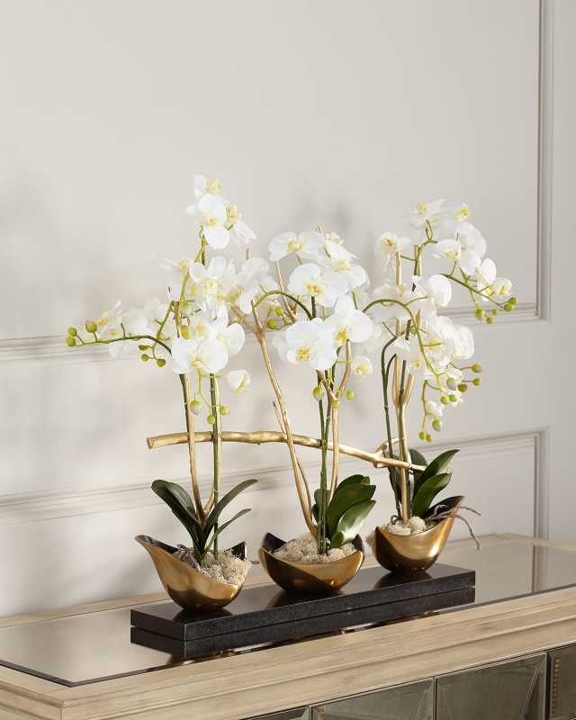 Silhouette Orchids II